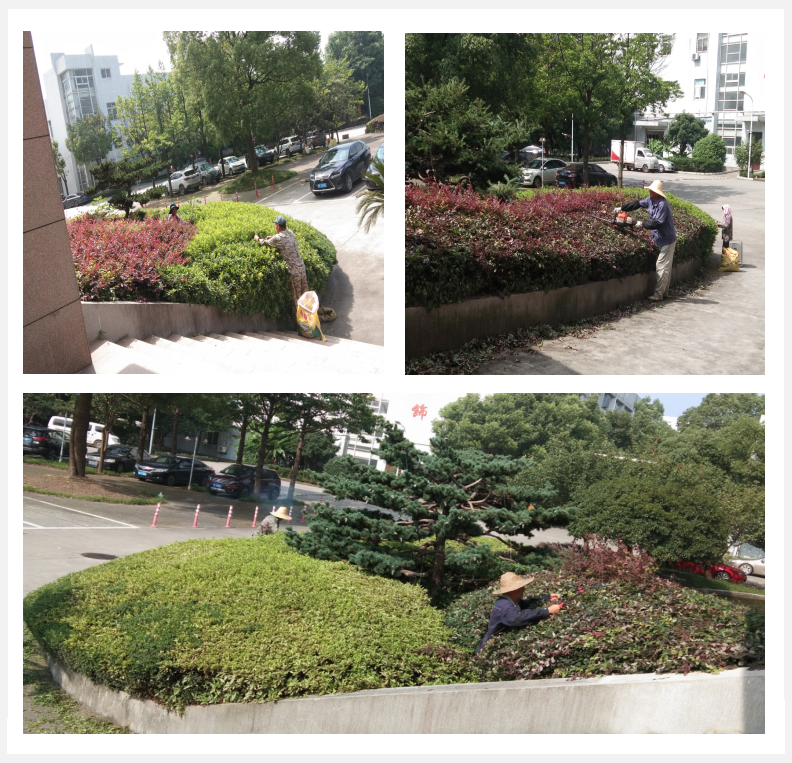 美化綠化，我們?cè)谛袆?dòng)      